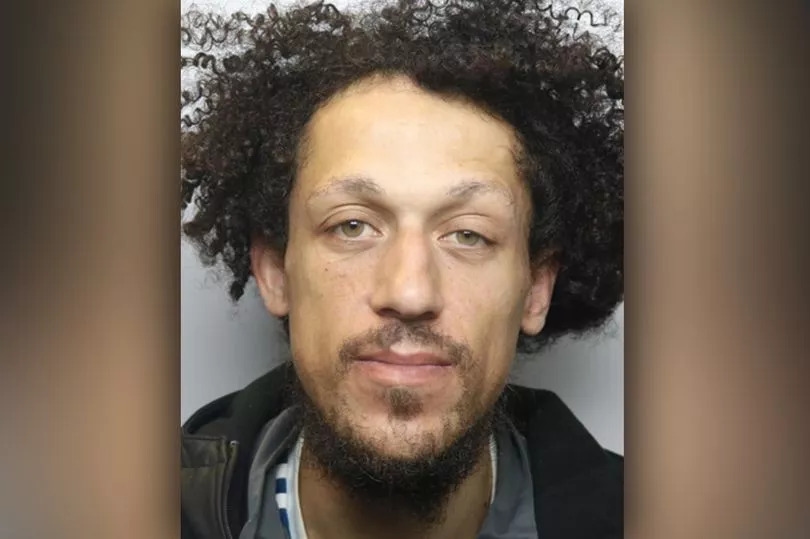 Owner of 'dangerously out of control' dog jailed as judge orders pet to be destroyed