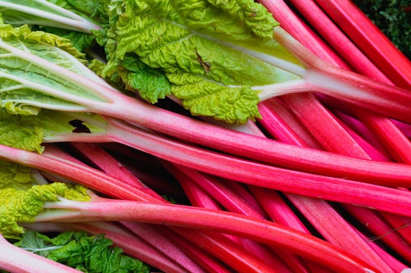 Warning issued to anyone growing rhubarb in their garden