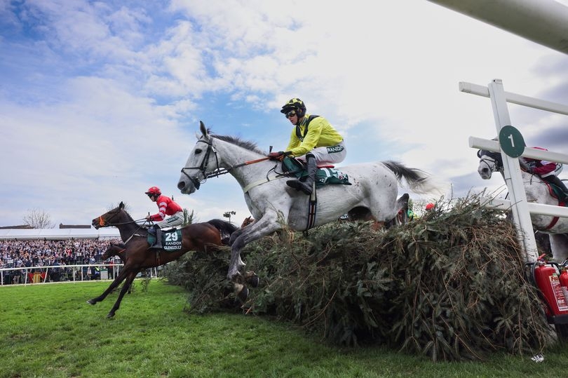 Grand National 2025 full list of confirmed horses, riders and odds for today's race