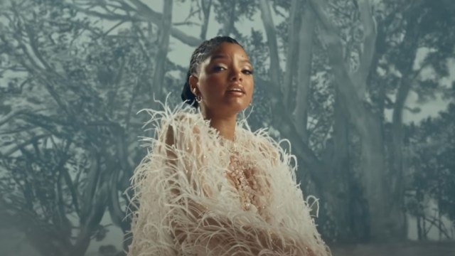 Halle Bailey's Travel Plans with Baby Halo Could Be Stopped by Court