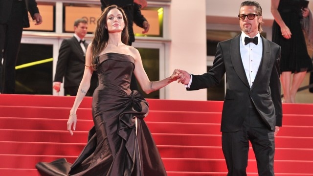 Brad Pitt's Future Could Be in Trouble for Pushing Angelina Jolie in Winery Case, Says Source