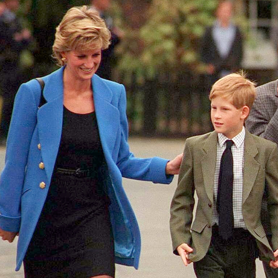 Royal Expert Says Princess Diana Would Be "Proud" of Prince Harry's Candid BBC Interview