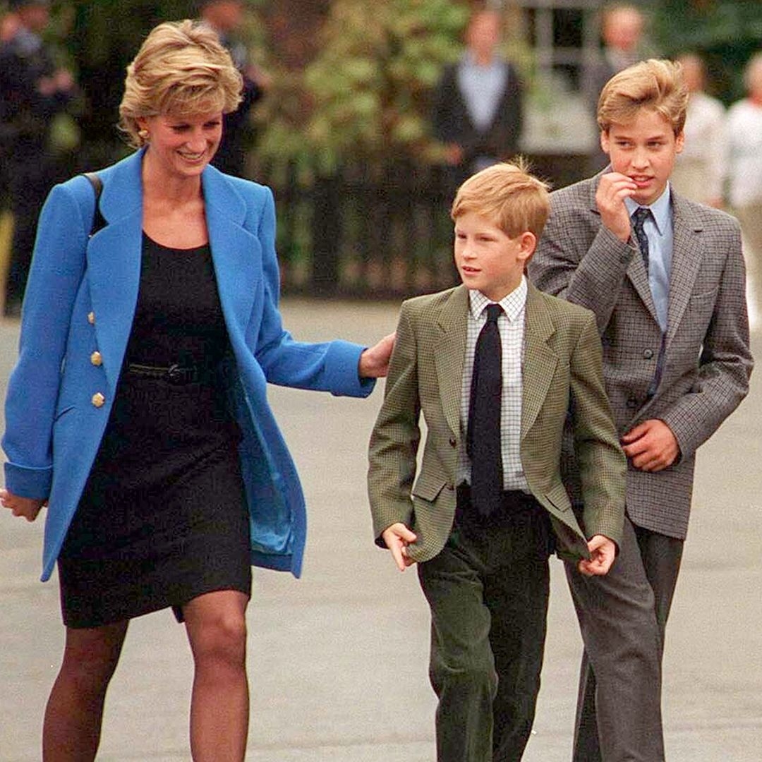 Princess Diana Would Be Acting as a 'Peacemaker' Between Prince William and Prince Harry, Her Biographer Says
