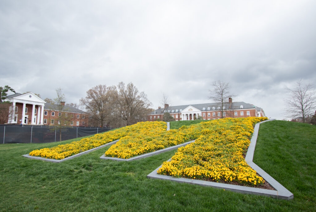 University regents approve fiscal 2026 budget that cuts spending, raises tuition and fees