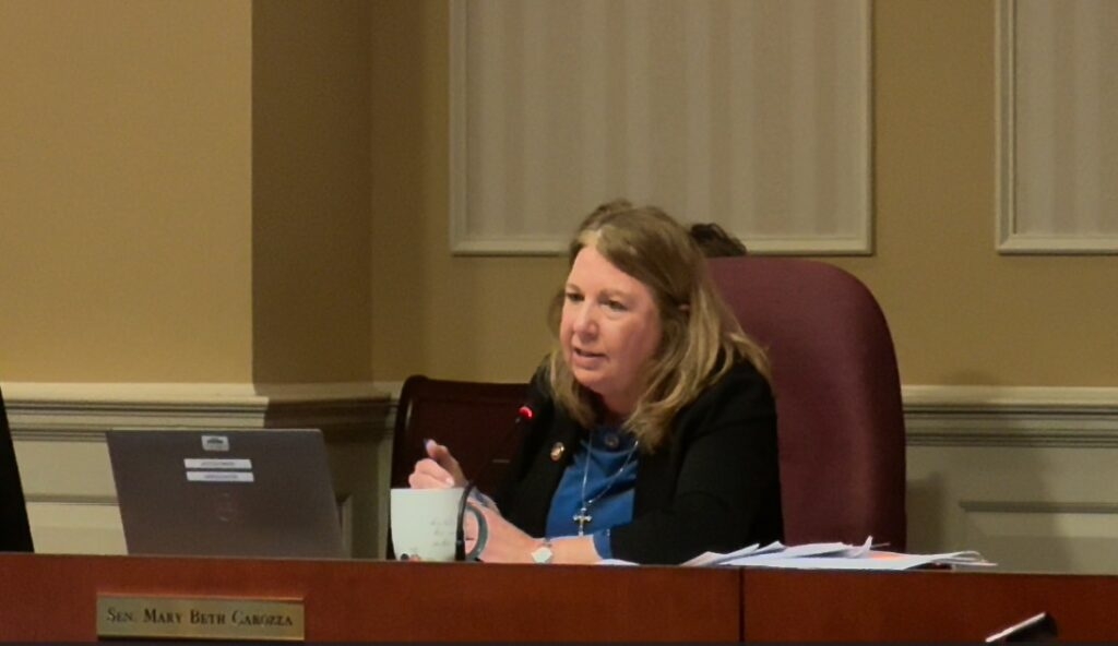 Second Senate panel needs more time to assess Blueprint measure