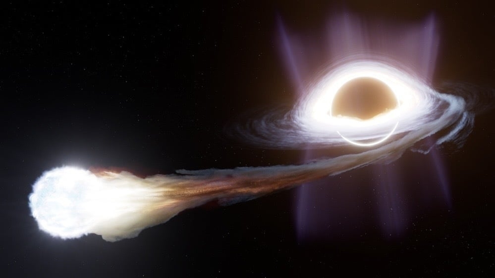 A star may have survived partial black hole spaghettification