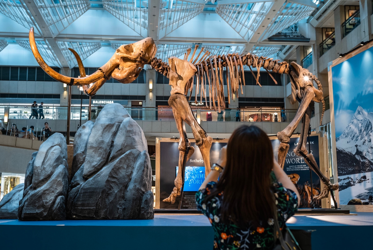 Can Dire Wolf Scientists Bring Back the Dinosaurs, Woolly Mammoth & Dodo Bird?