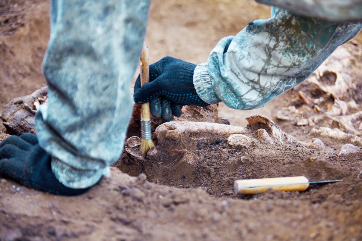 New Study Reveals Chilling Secret of Iron Age War Cemetery
