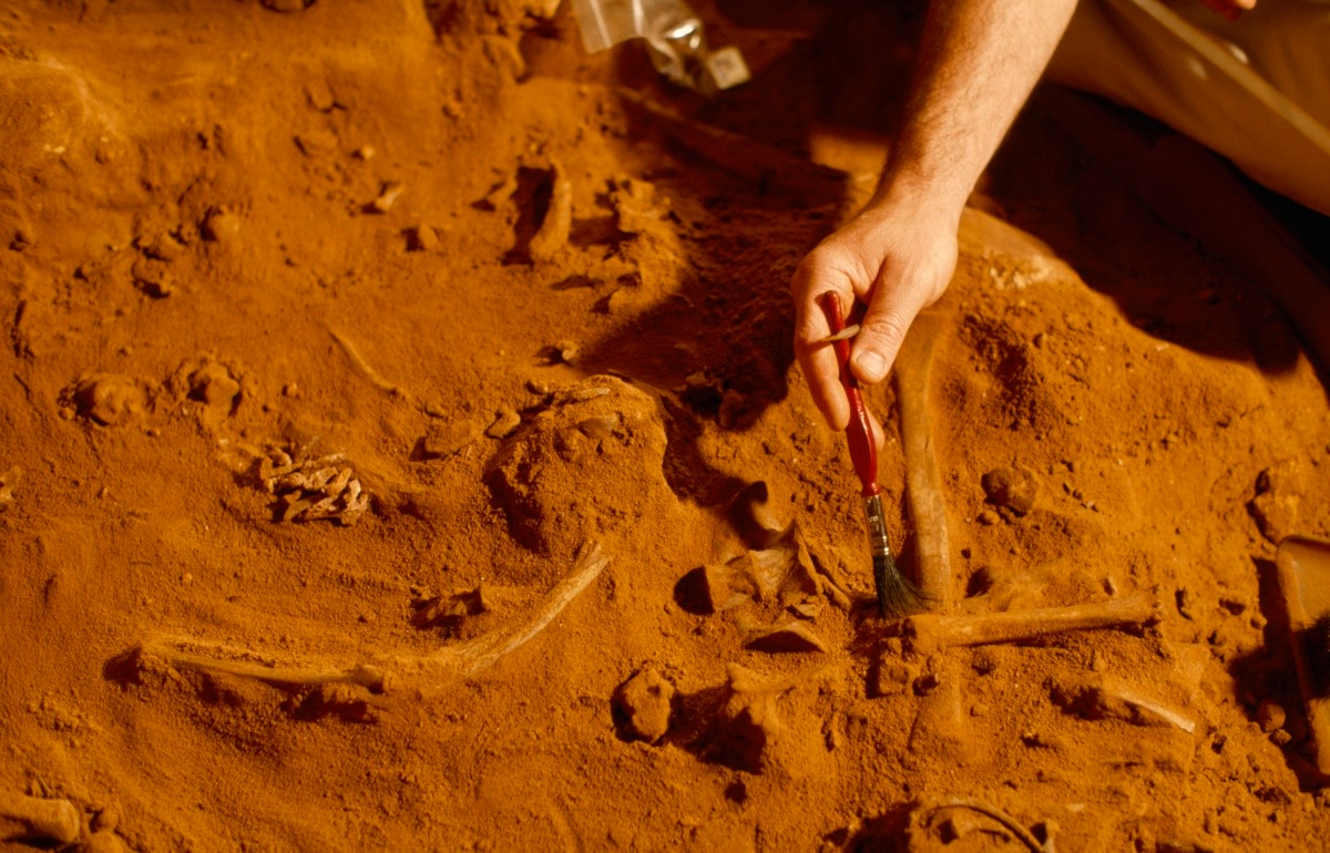 Archaeologists Find Neanderthal Tools Dating Back 55,000 Years