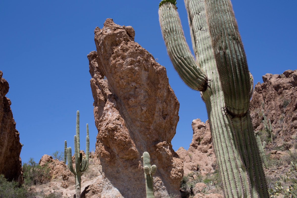 2 Teens Shot Dead on National Park Camping Trip