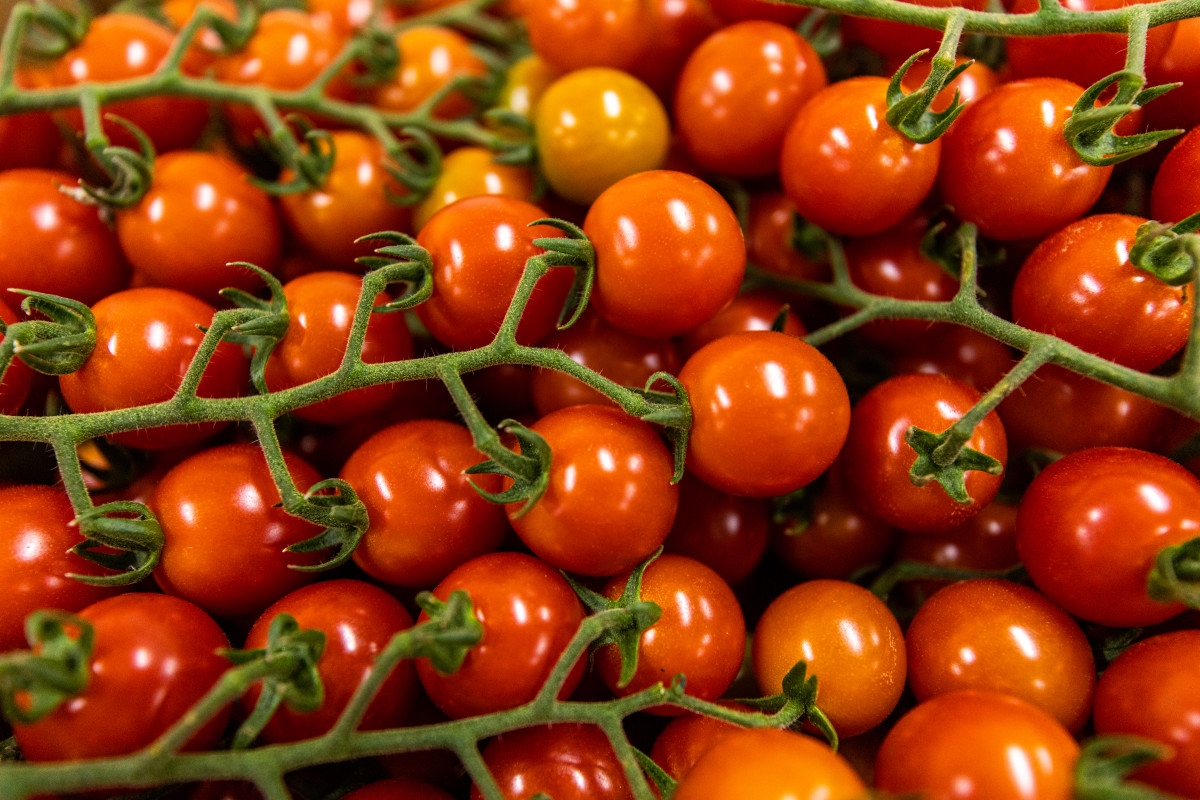 Tomatoes Recalled After FDA Warns of Severe Health Riskt