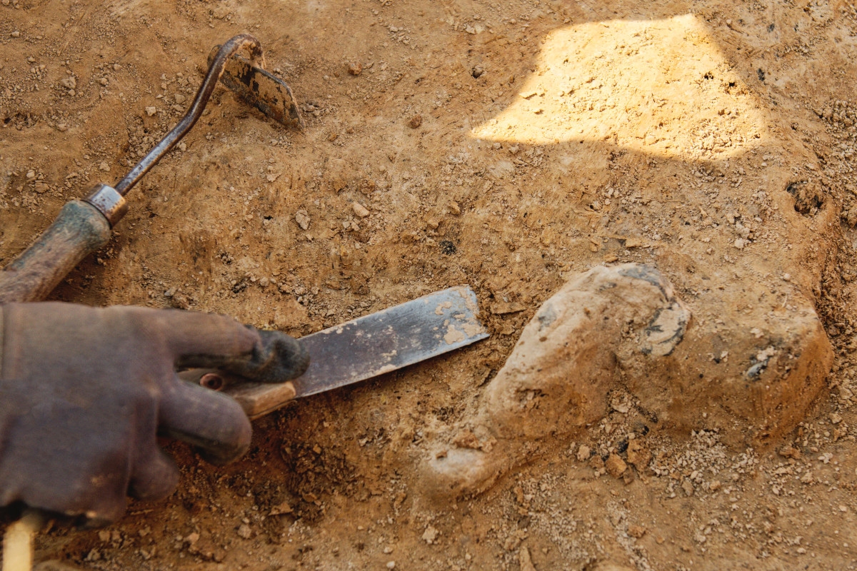 Human Bones Reframe Lives of Disabled People in Middle Ages