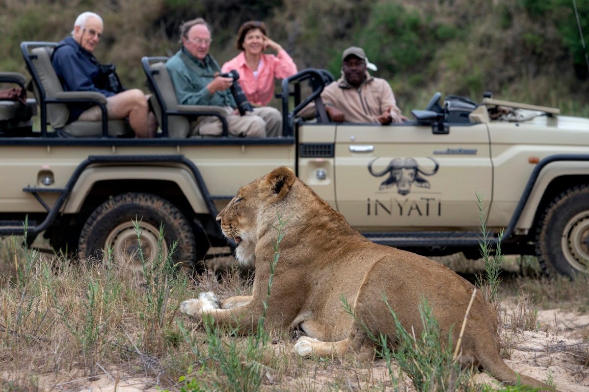 Businessman Dies ‘Horrifying' Death While on Safari in Africa