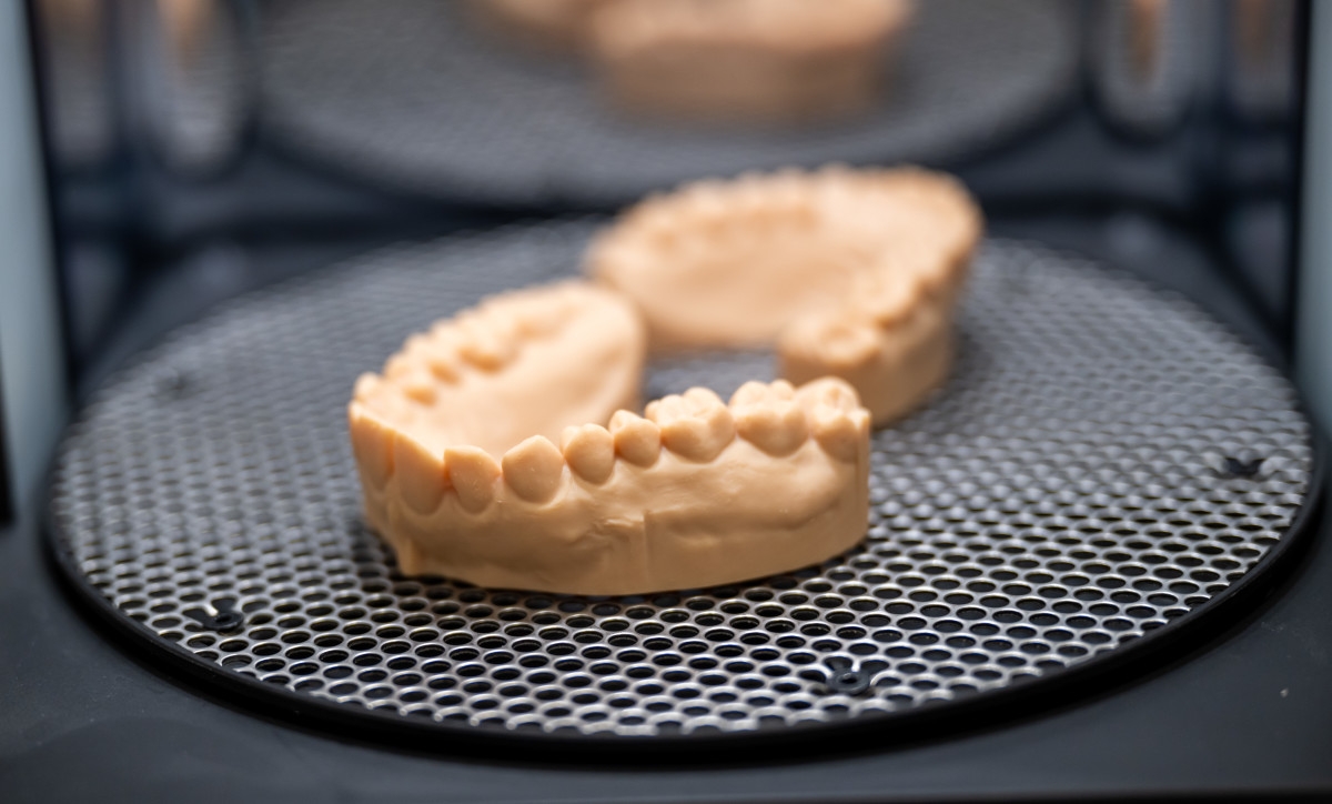Your Teeth May Have Evolved From Ancient Fish Armor