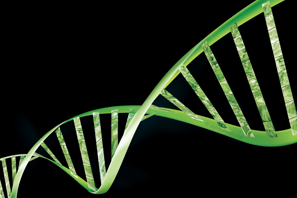 Scientists Uncover DNA Puzzle: 6,000-Year-Old Remains Reveal Mysterious Ancestors
