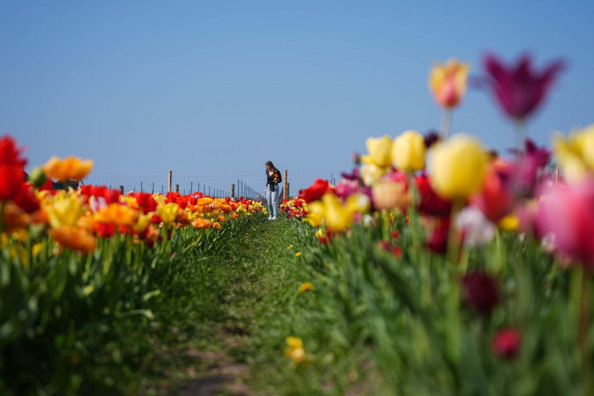 The Best Mother's Day Quotes for Your Mom & Wife This Year