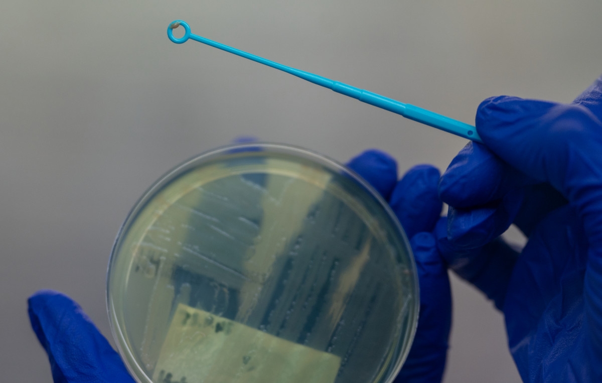 Scientists Sound Alarm Over Plastic-Eating Bacteria in Hospitals