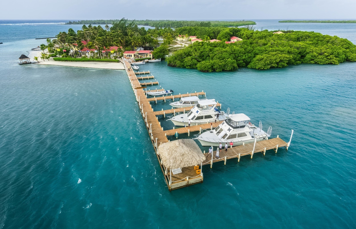 Caribbean Beach Resorts Threatened by Smelly Invader