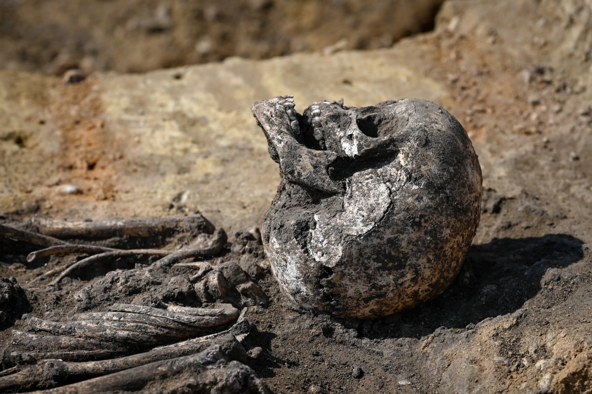 These Ancient Warriors Ate the Brains of Their Enemies, Study Finds