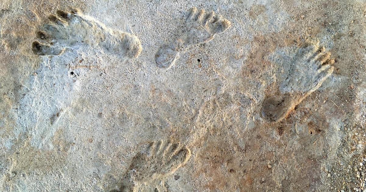 Newly Discovered Footprints Dramatically Re-date When Humans First Came to Americas