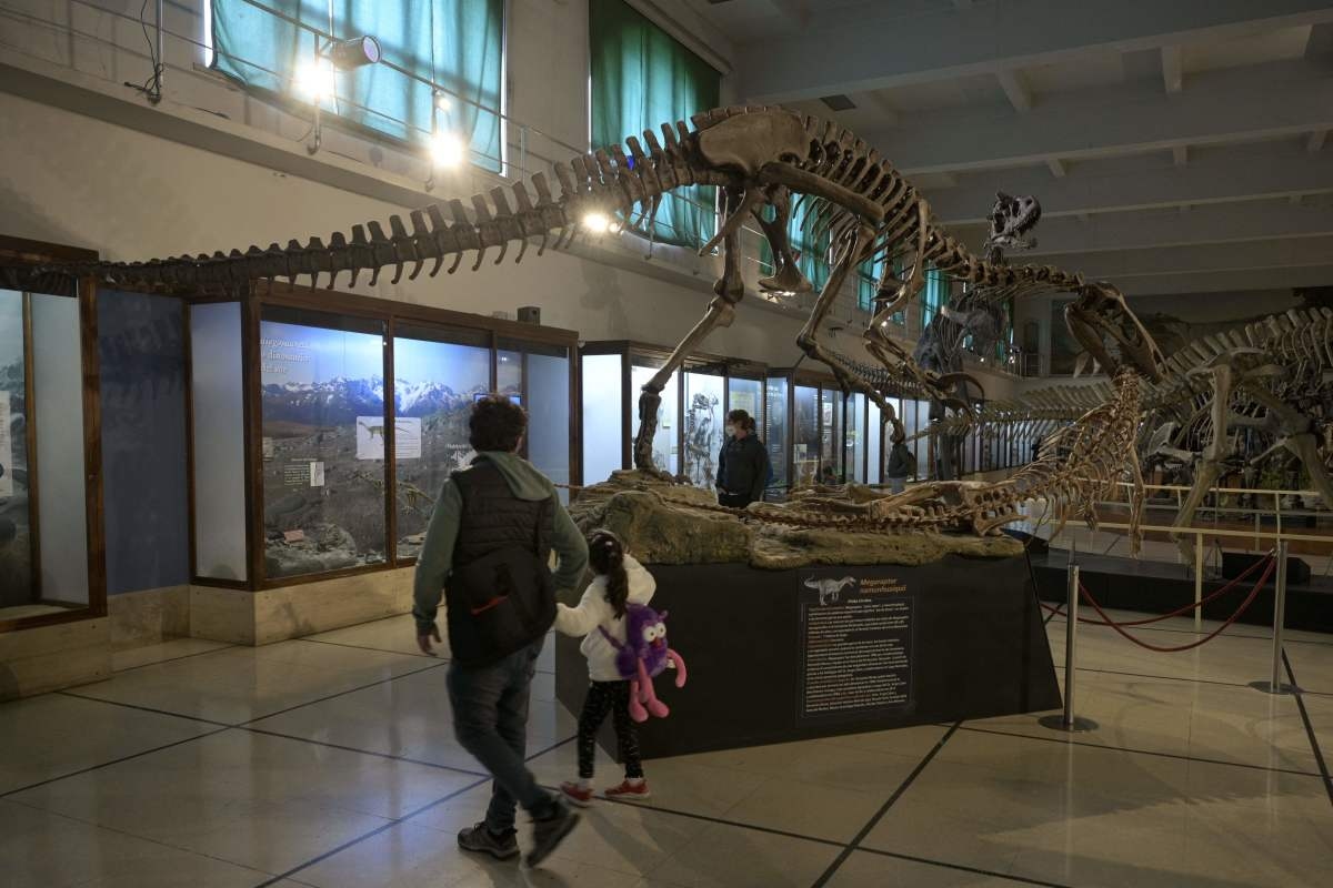 Remains Found of 'Giant' Mammal That Lived 60 Million Years Ago
