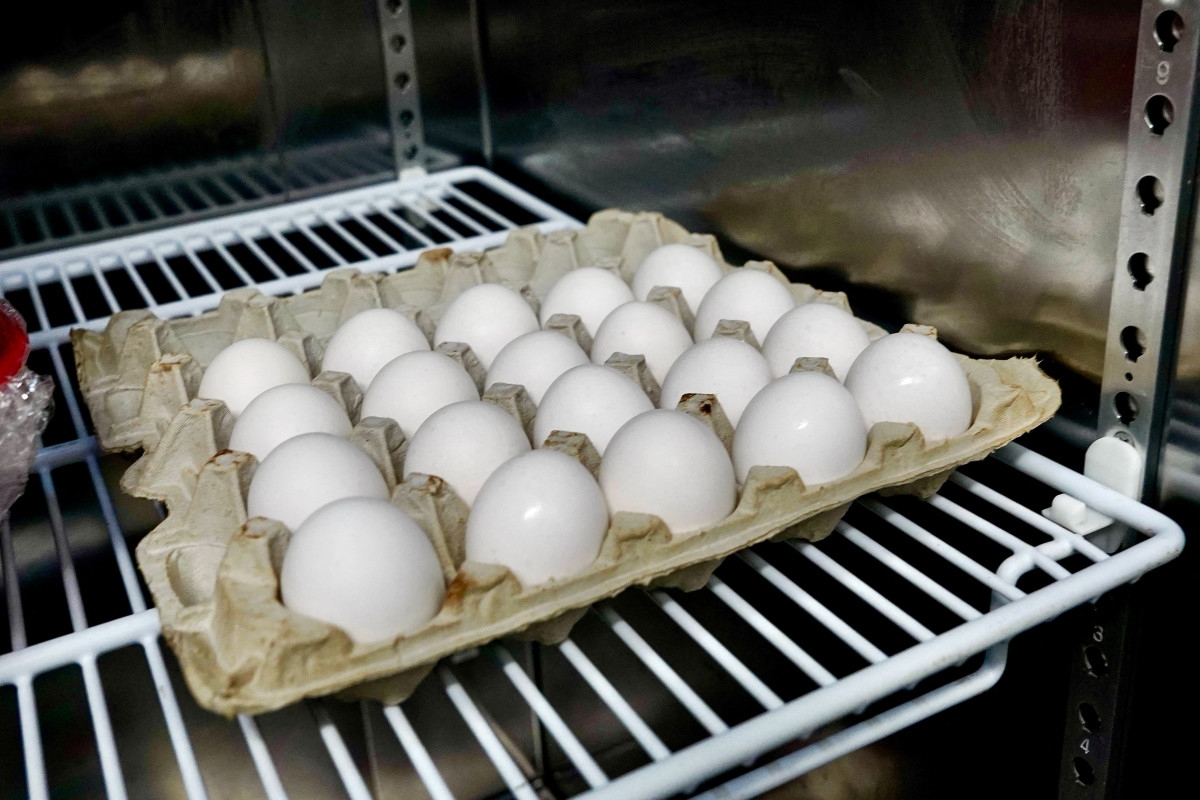 Southwest Egg Supply Shaken as Major Producer Shuts Down