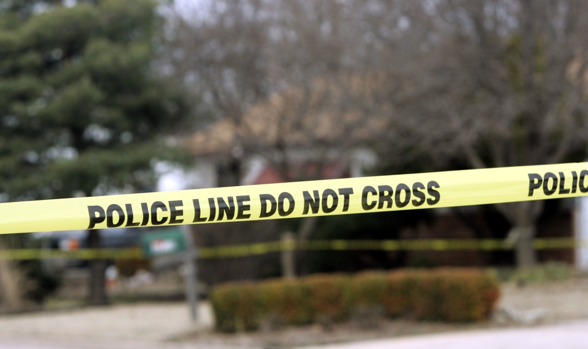 Dozens of Dogs Found ‘Crammed' in Apartment in Shocking Scene