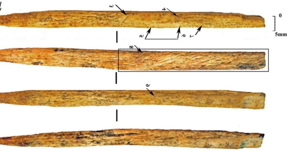 Archaeologists Discover Oldest-Known Neanderthal Artifact
