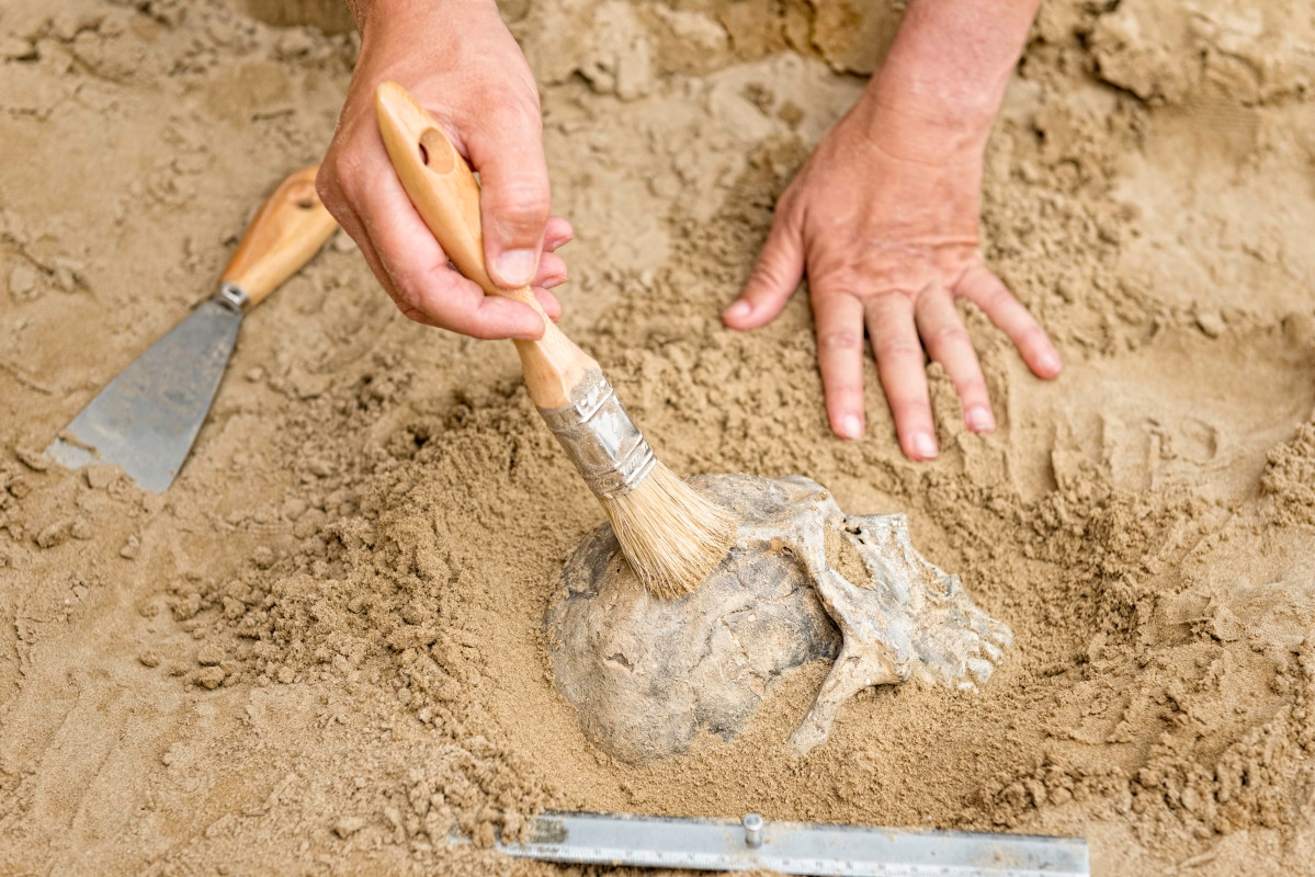 Archaeologists Discover 30,000-Year-Old Remains of Child in Popular National Park