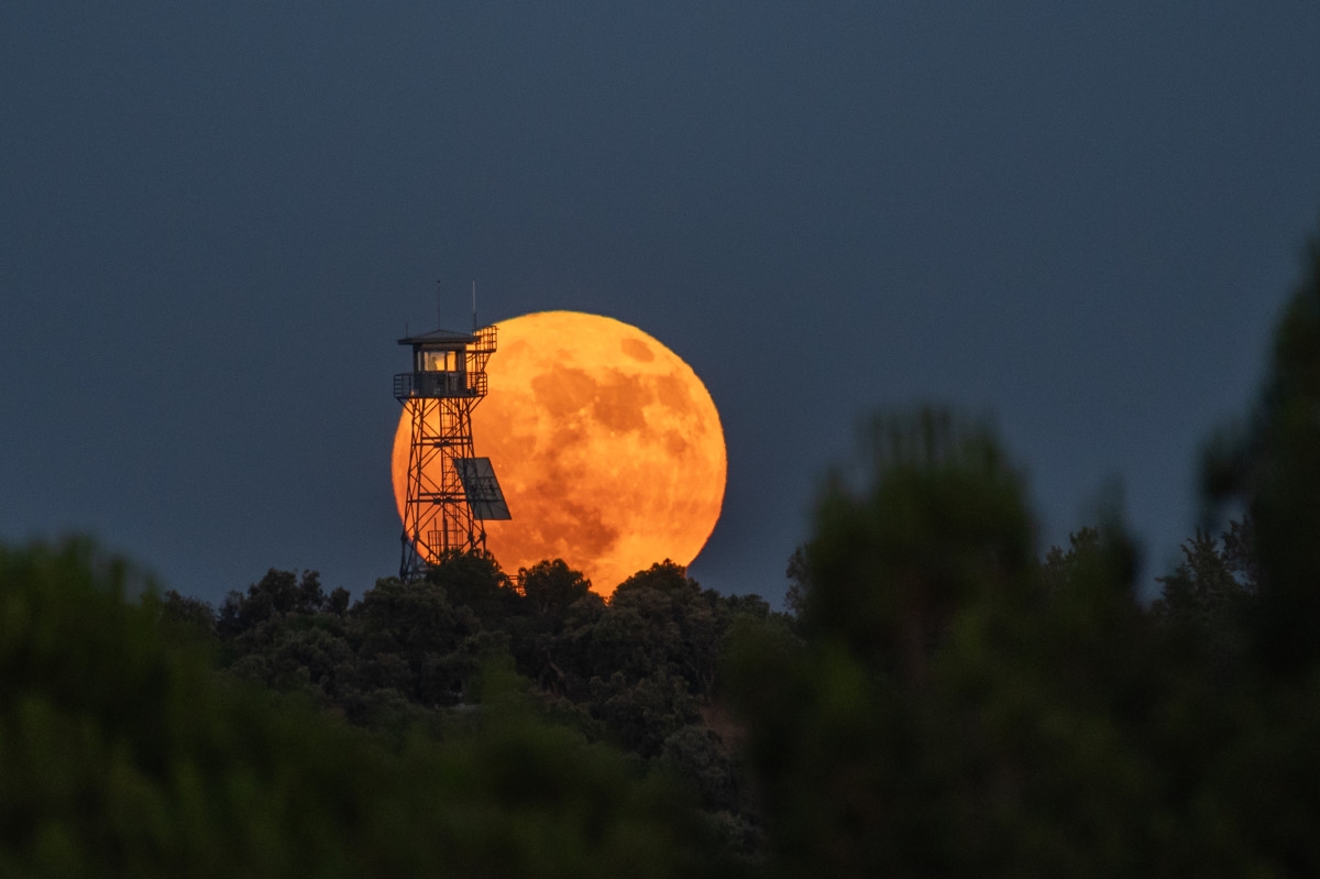 This Week's 'Strawberry Moon' Will Look Wildly Different, Here's Why