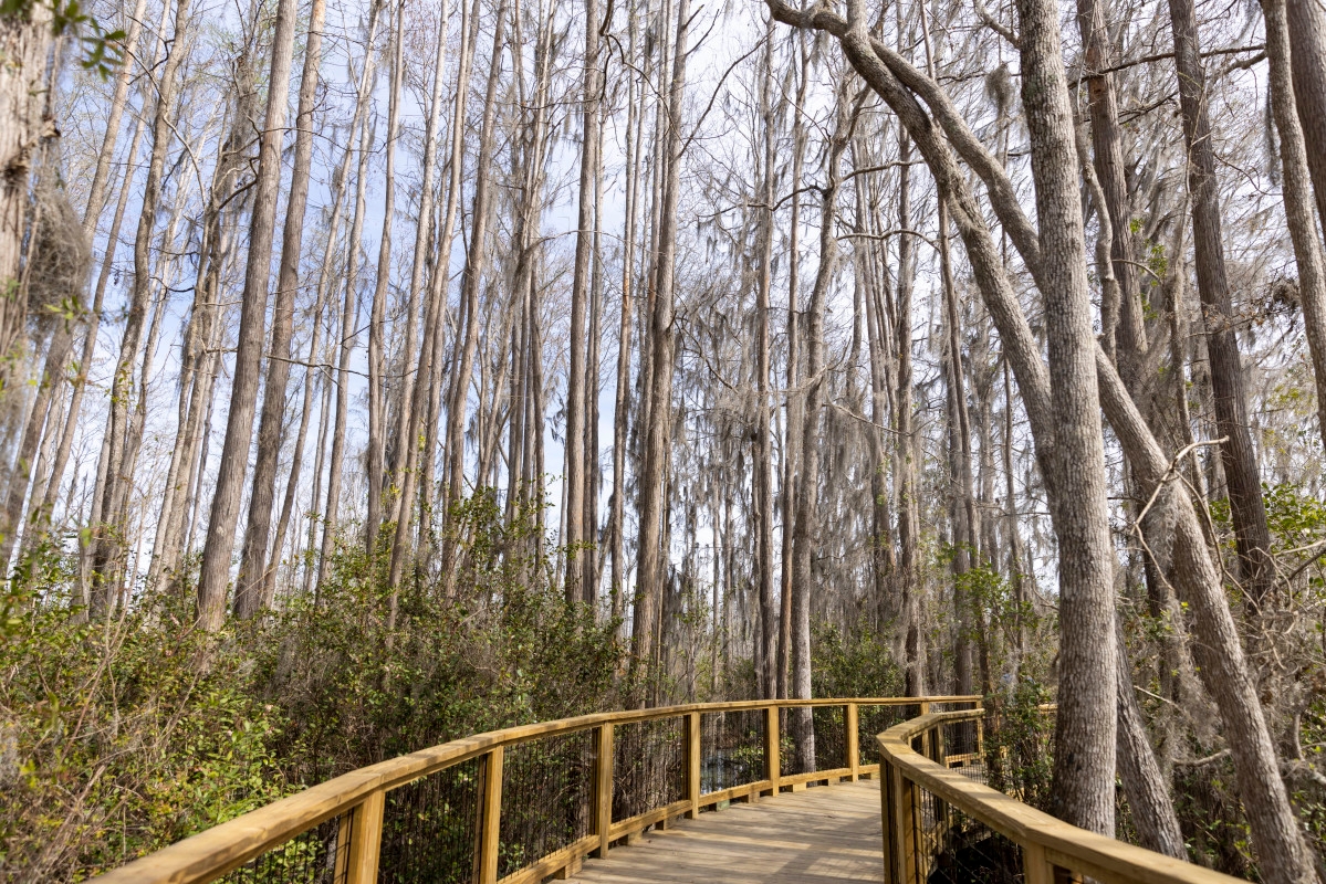 20 Recreational Parks in Georgia Forced To Close Until Further Notice