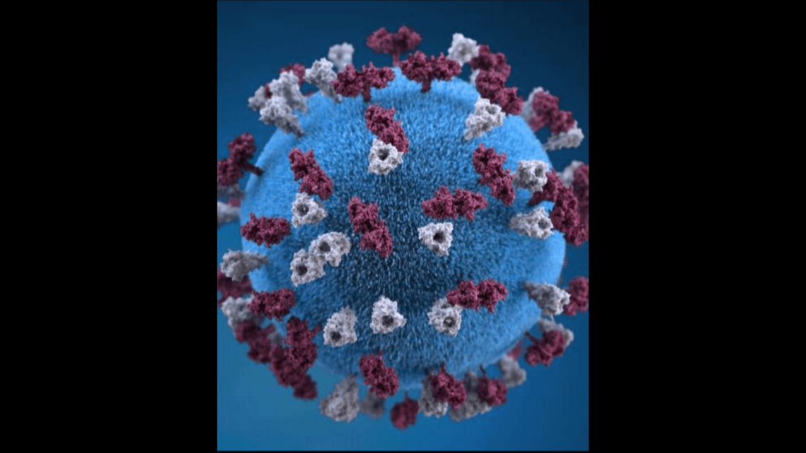 Did you get the measles vaccine in the past? Do you need another shot? How to check