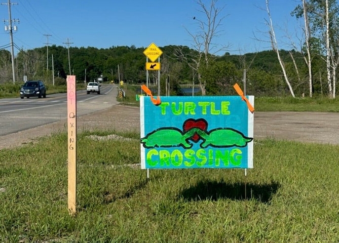 On the move: Turtlefest and crossing signs return to Benzie County