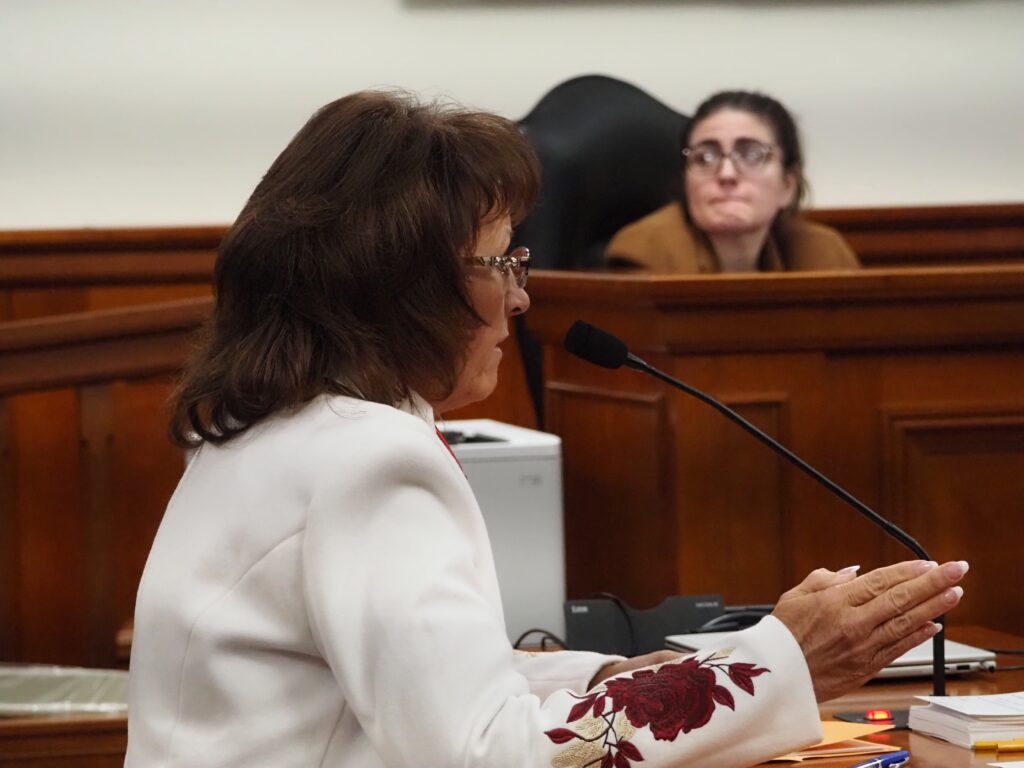 Michigan lawmakers hear bills to ban sanctuary cities, cut social welfare services for noncitizens