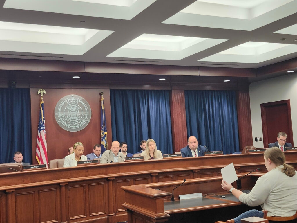 Michigan Senate panel hears input on potential devastation of federal Medicaid cuts