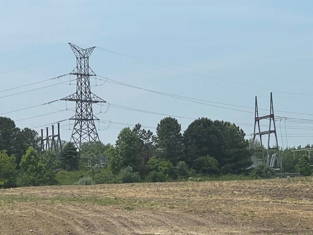 Michigan transmission line project sparks fears of land seizures via eminent domain
