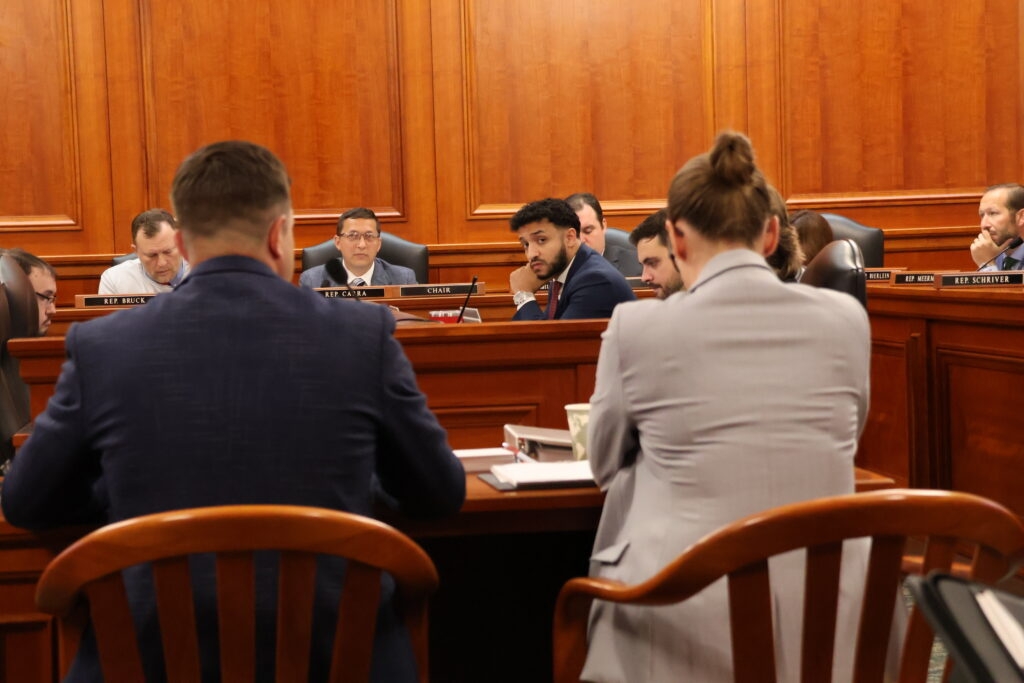 Joint House panel puts the screws to Marshall battery plant project