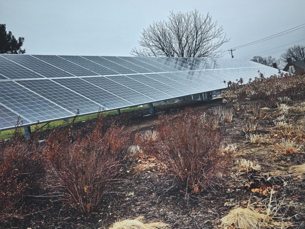 Polling shows strong support for clean energy among Michiganders amid state and federal GOP pushback
