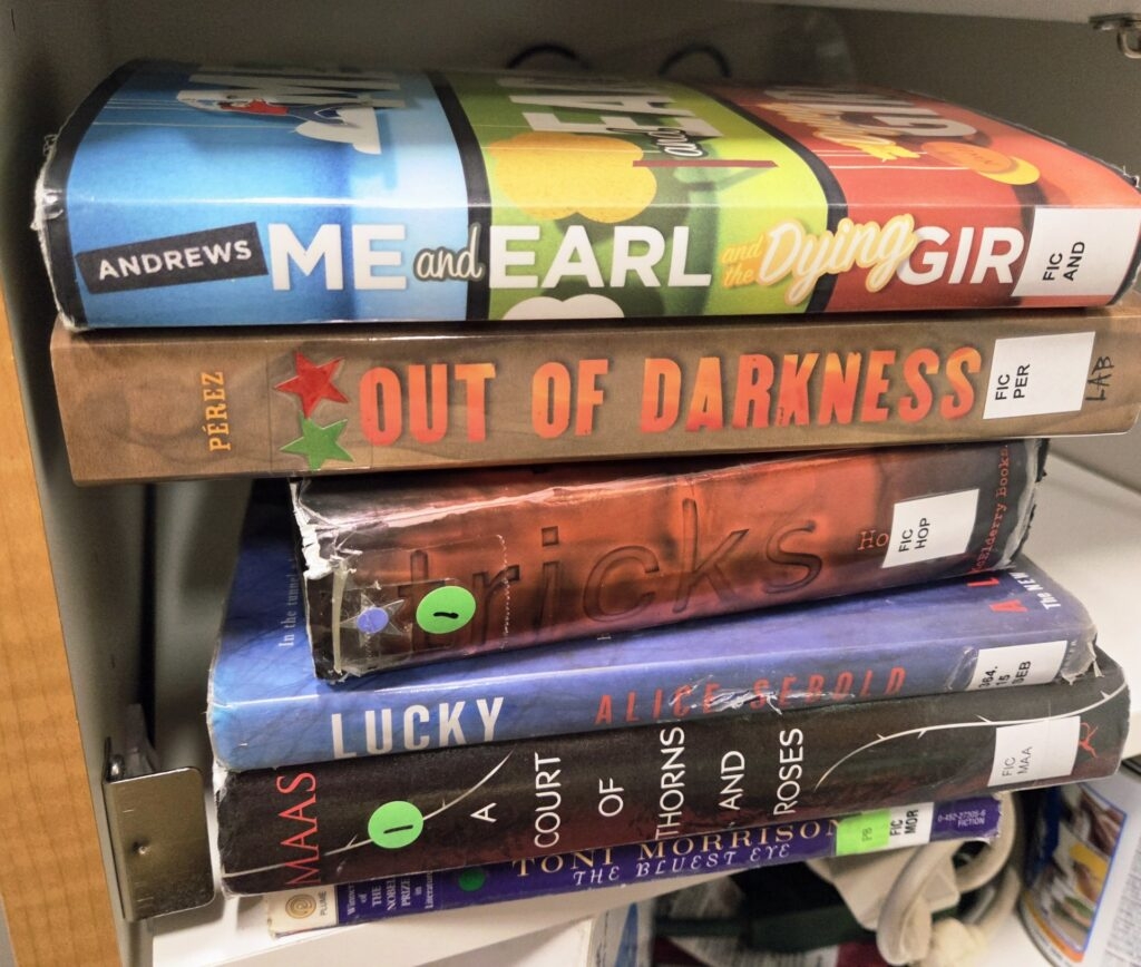 It's happening here: when book bans hit home