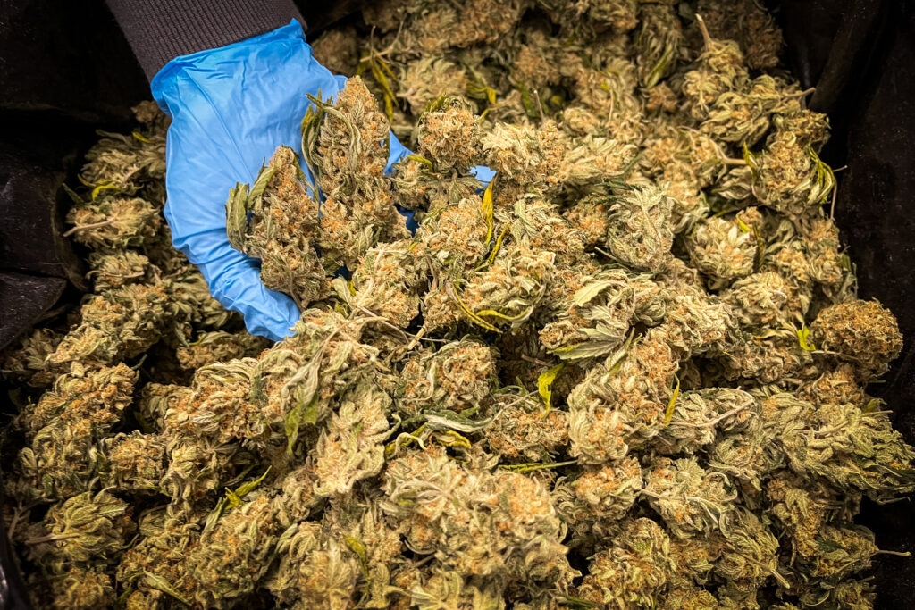 Co-owners of Missouri company at center of marijuana recall got greenlight for another license