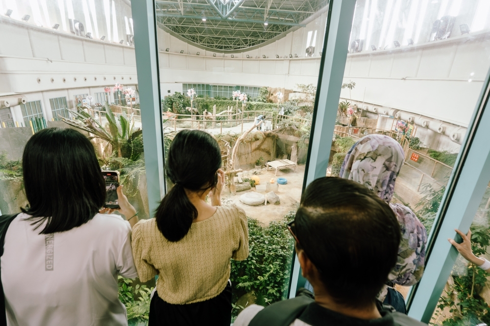 How do devoted Malaysian fans of giant pandas Fu Wa and Feng Yi say goodbye after 11 years?