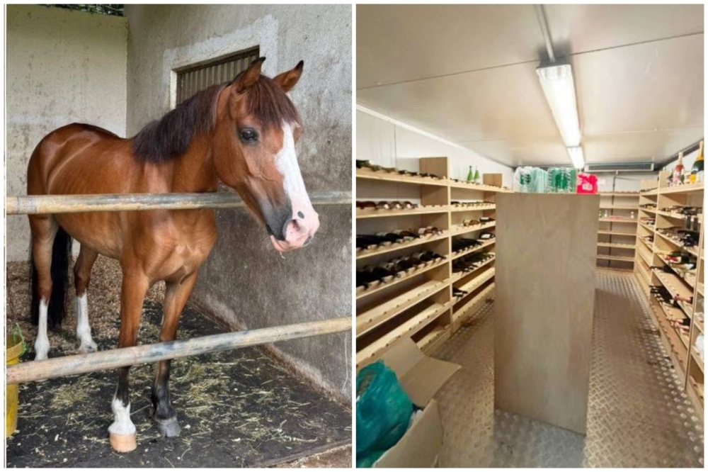 MACC seizes six luxury homes worth RM12m, thoroughbred horse in sukuk funds scandal involving ‘Tan Sri'