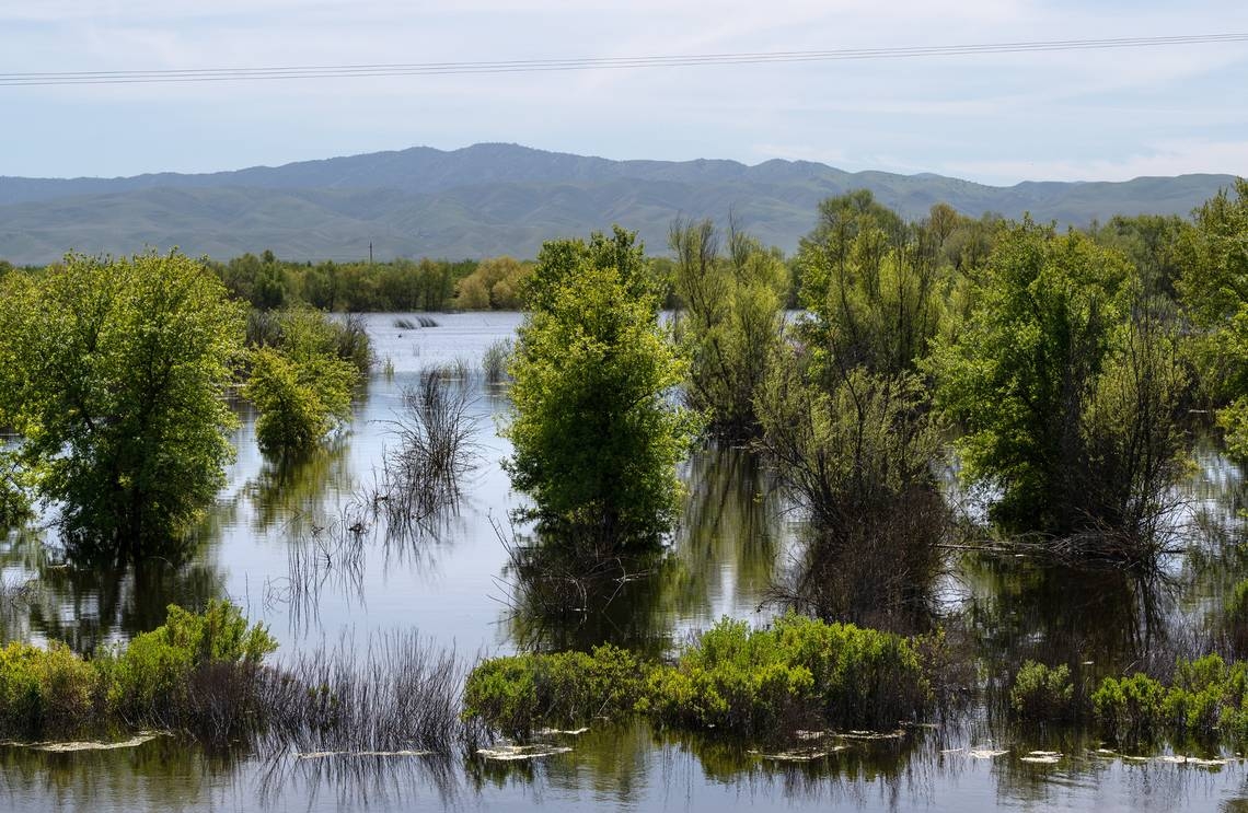 Stanislaus Audobon Society: Outraged by capricious, cruel firing of federal parks employees