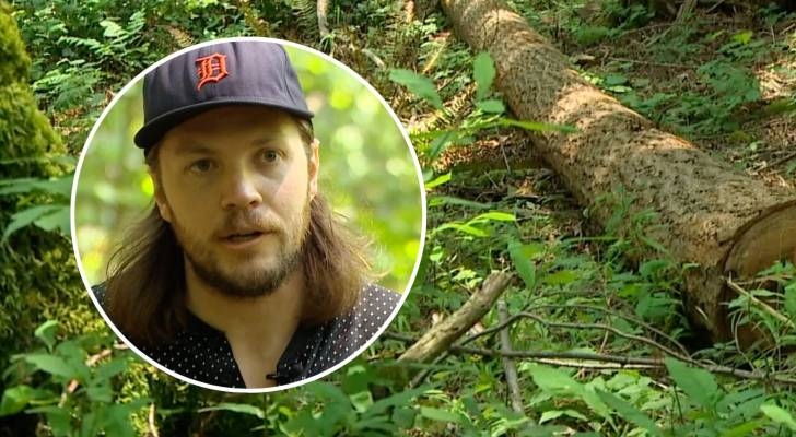 Washington county suing homeowners for $7M after allegedly felling 142 protected trees to score better views
