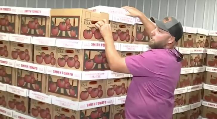 Alabama farmer sees new interest within days of Trump's tomato tariff — and says former trade deal ‘never worked' for US