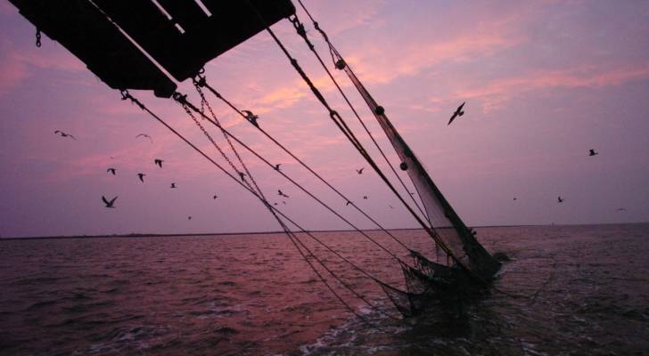 Gulf Coast shrimpers see Trump tariffs as a lifeline for the US shrimp industry
