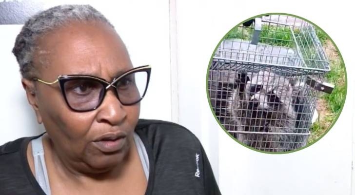 ‘They scratch the walls': Washington woman, 66, was stuck in raccoon-infested government housing for a year