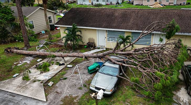 Florida's ‘Fallen Tree Act' postponed just as hurricane season begins — here's what to know about this bill
