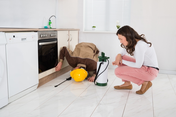 Battle of the Bugs: Which Pest Control Stock is Best?