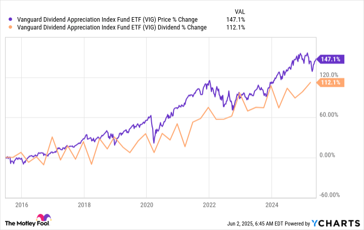 The Best Dividend ETFs for Your Portfolio